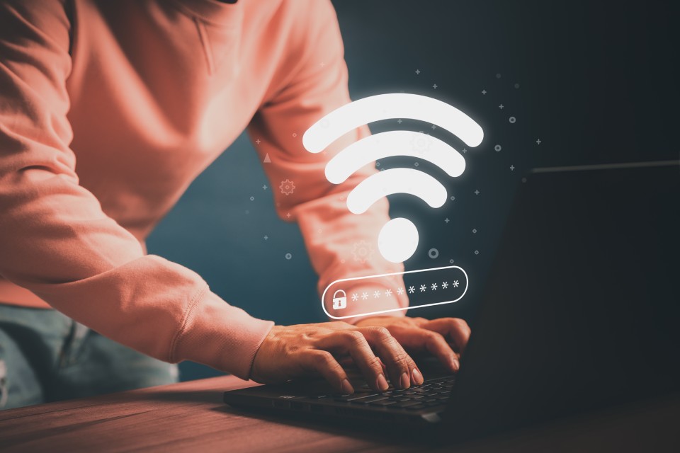 product_feature_pic1-3